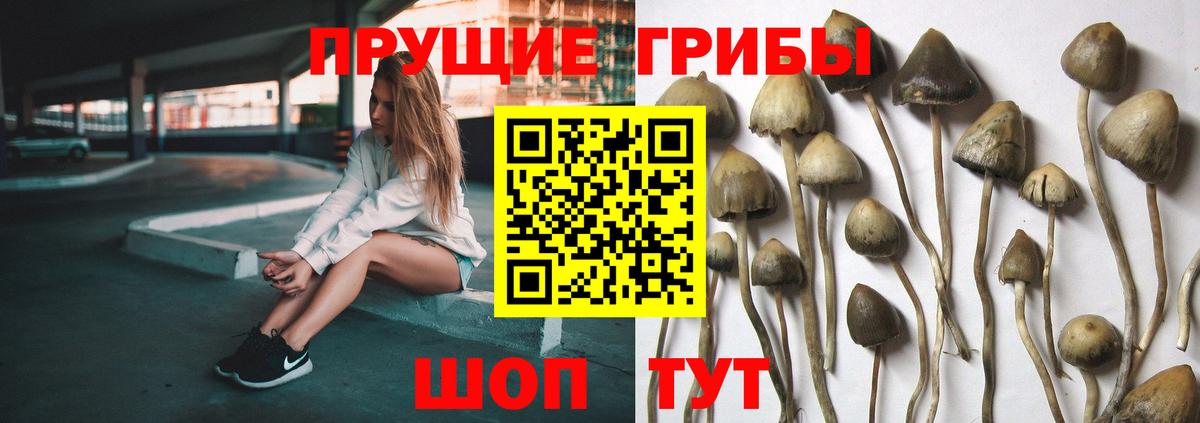 Псилоцибиновые грибы Psilocybine cubensis  Вход с VPN  Галлюциногенные грибы мухоморы  Нижневартовск 